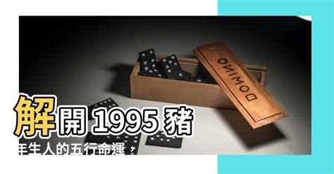 1995五行